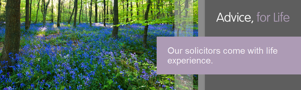 bluebells bluebells